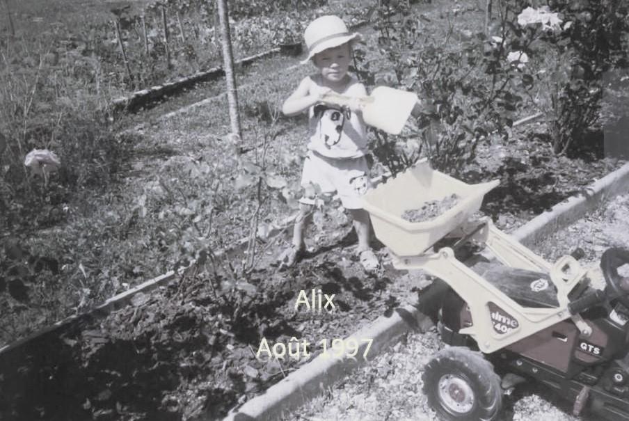 66043e1176315_images_large